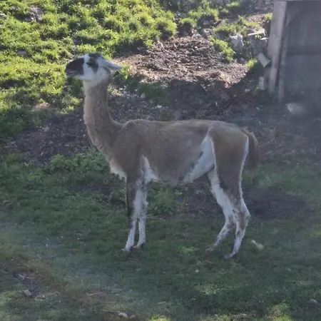 Sun Di Apartman Bohinj