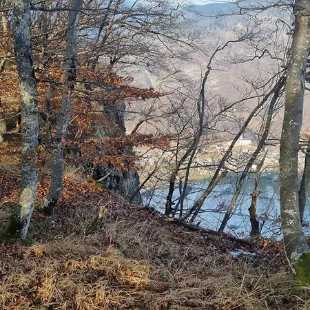 Sun Di Bohinj